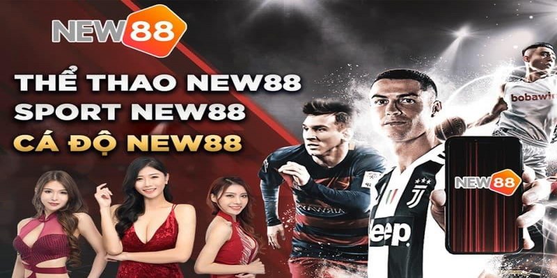 Hỗ trợ bet thủ soi kèo cá cược